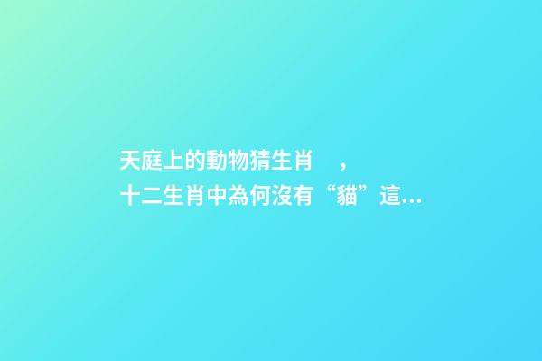 天庭上的動物猜生肖，十二生肖中為何沒有“貓”這一屬相
